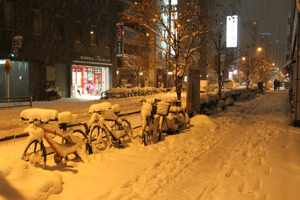 Tokyo zasypáno sněhem ...